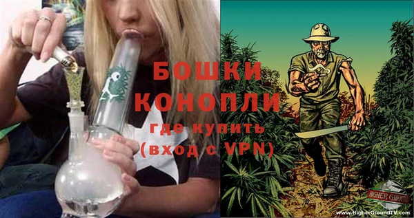 каннабис Арсеньев