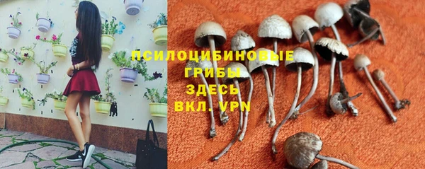 бутират Армянск