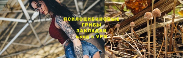прущие грибы Алзамай