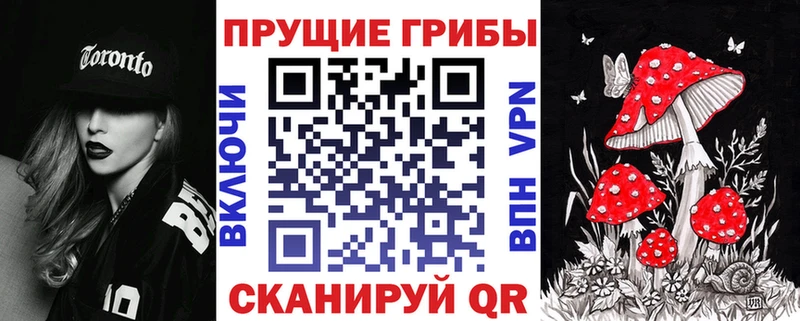 Галлюциногенные грибы мицелий  наркота  Пушкино 